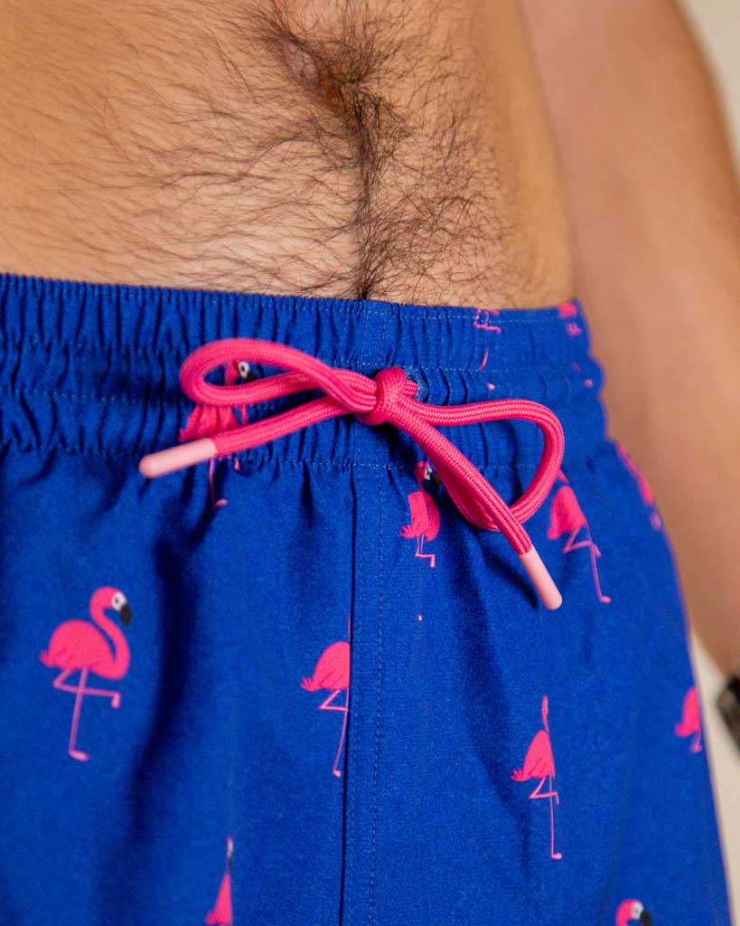 Men's Classy Flamingo Swim Trunks