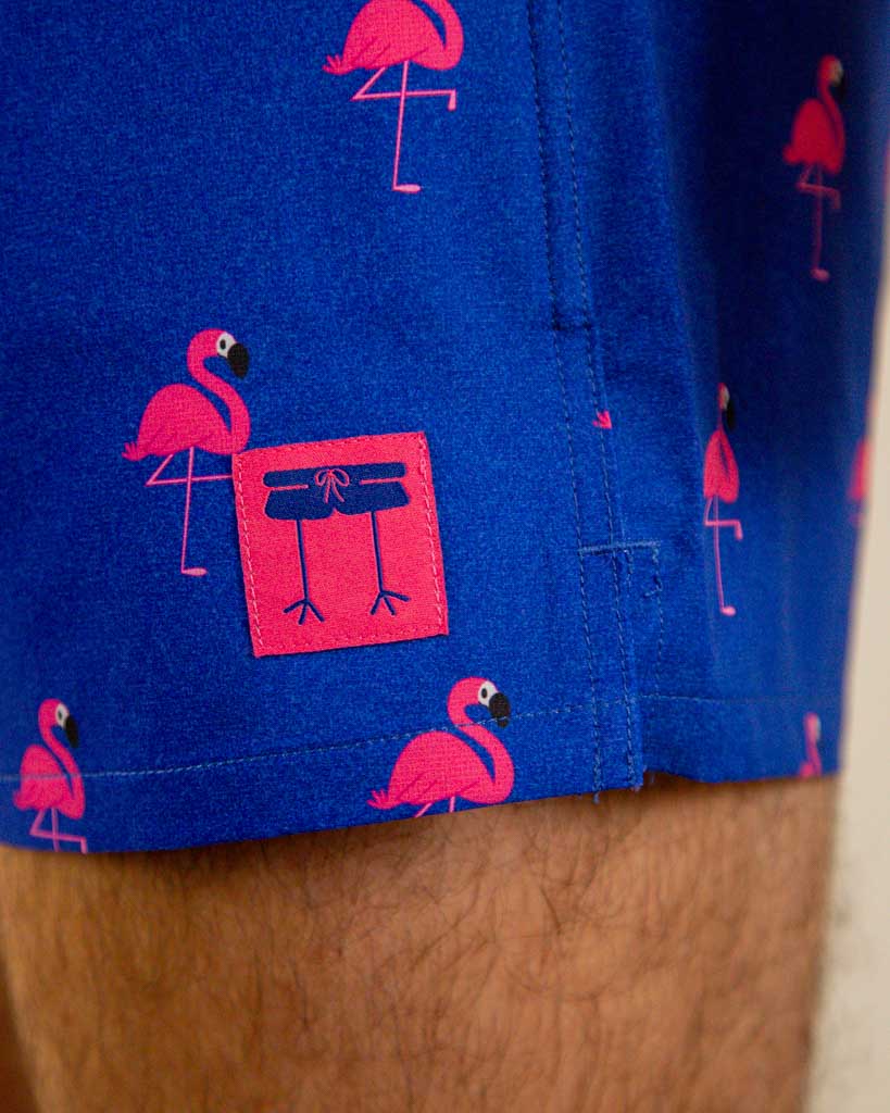 Men's Classy Flamingo Swim Trunks