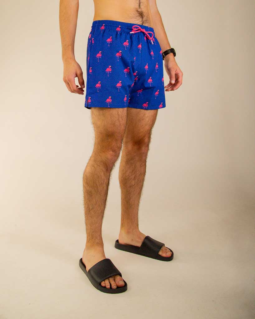 Men's Classy Flamingo Swim Trunks